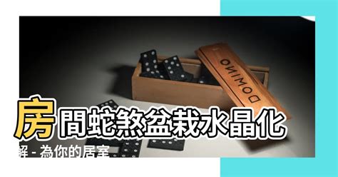 房間蛇煞化解